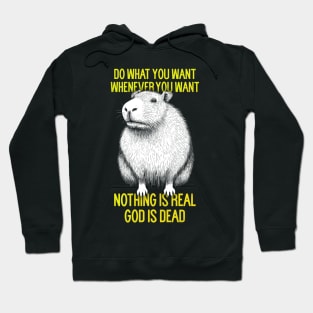 Do What You Want, Whenever You Want - Nihilist Capybara Hoodie